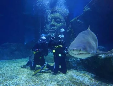 2 people swimming in full diving suits next to a shark in Sea Life Bangkok's Shark Ship Wreck diving experience