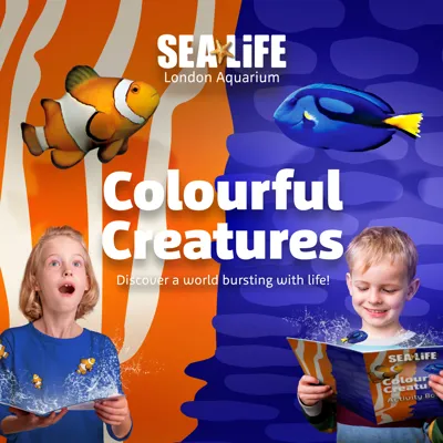 SL Colourfulcreatures Square London
