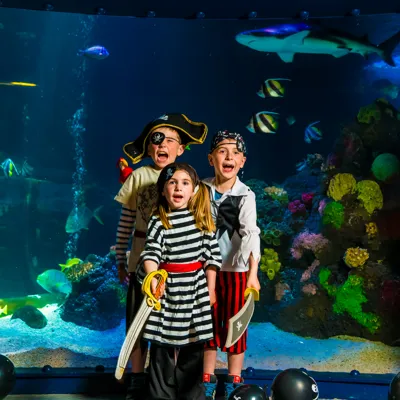 8308 Photoshoot TDF Tank Pirates Child 8