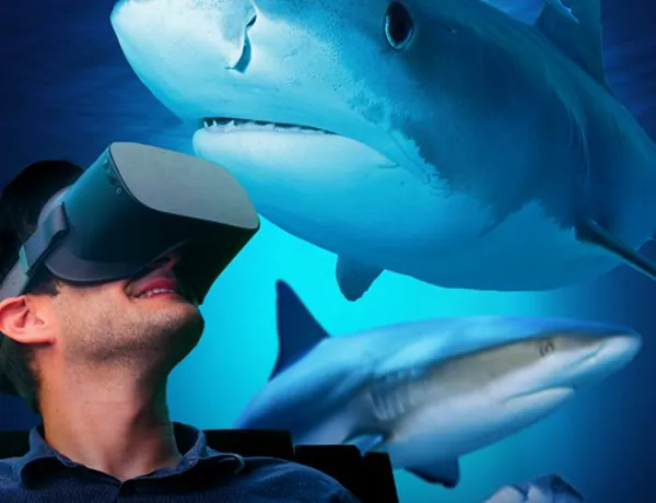 VR Experience Sharks