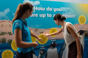 Penguin Encounter1