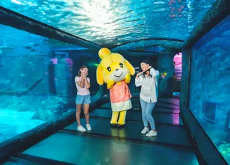 Animal Crossing: New Horizons at SEA LIFE Sunshine Coast