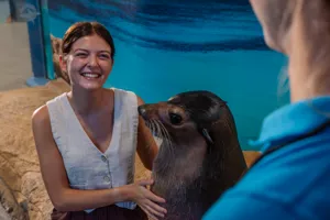 sealencounter
