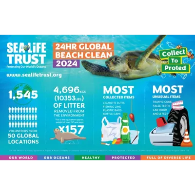 GBC 2024 Stats