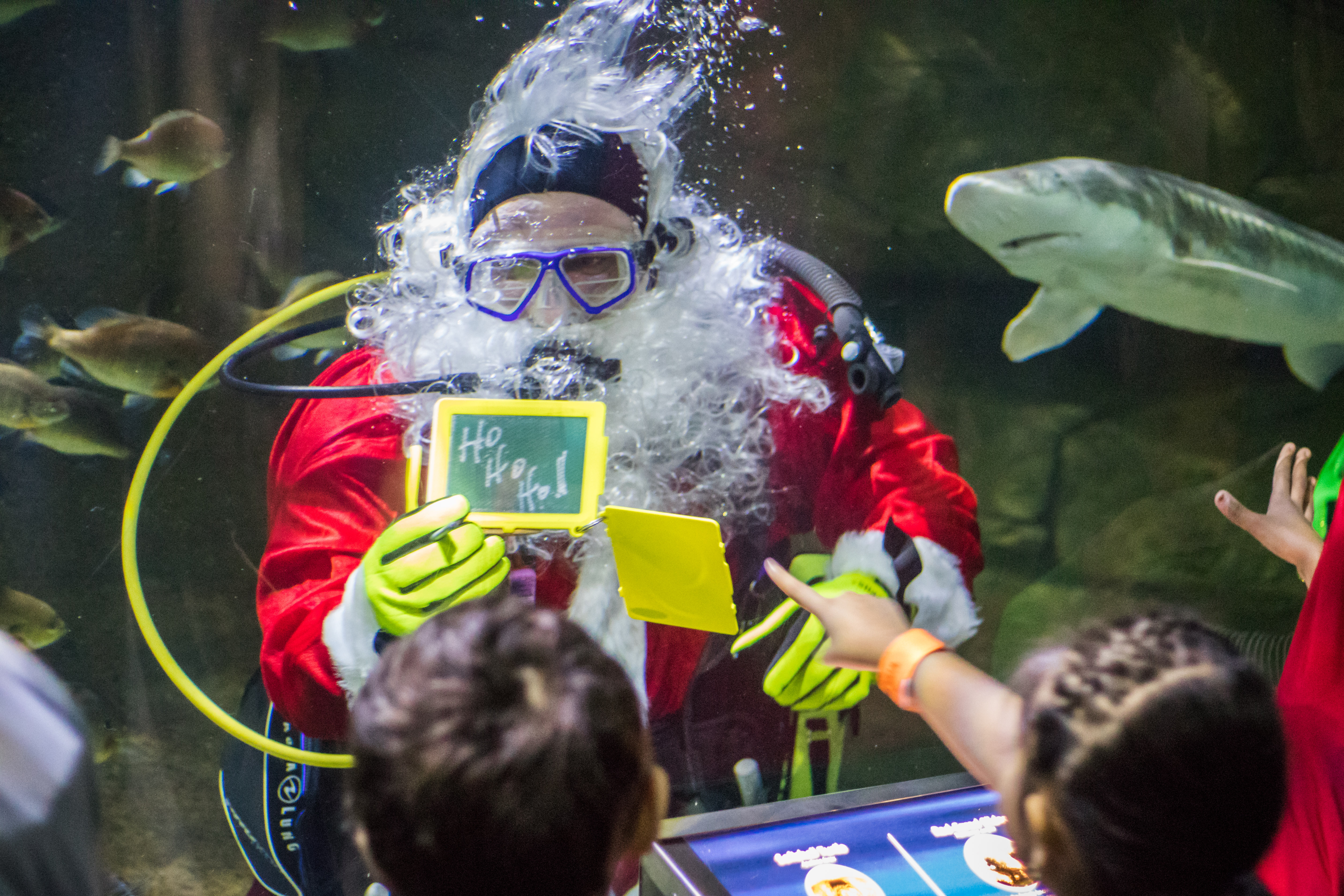 SEA LIFE Aquarium Scuba Claus