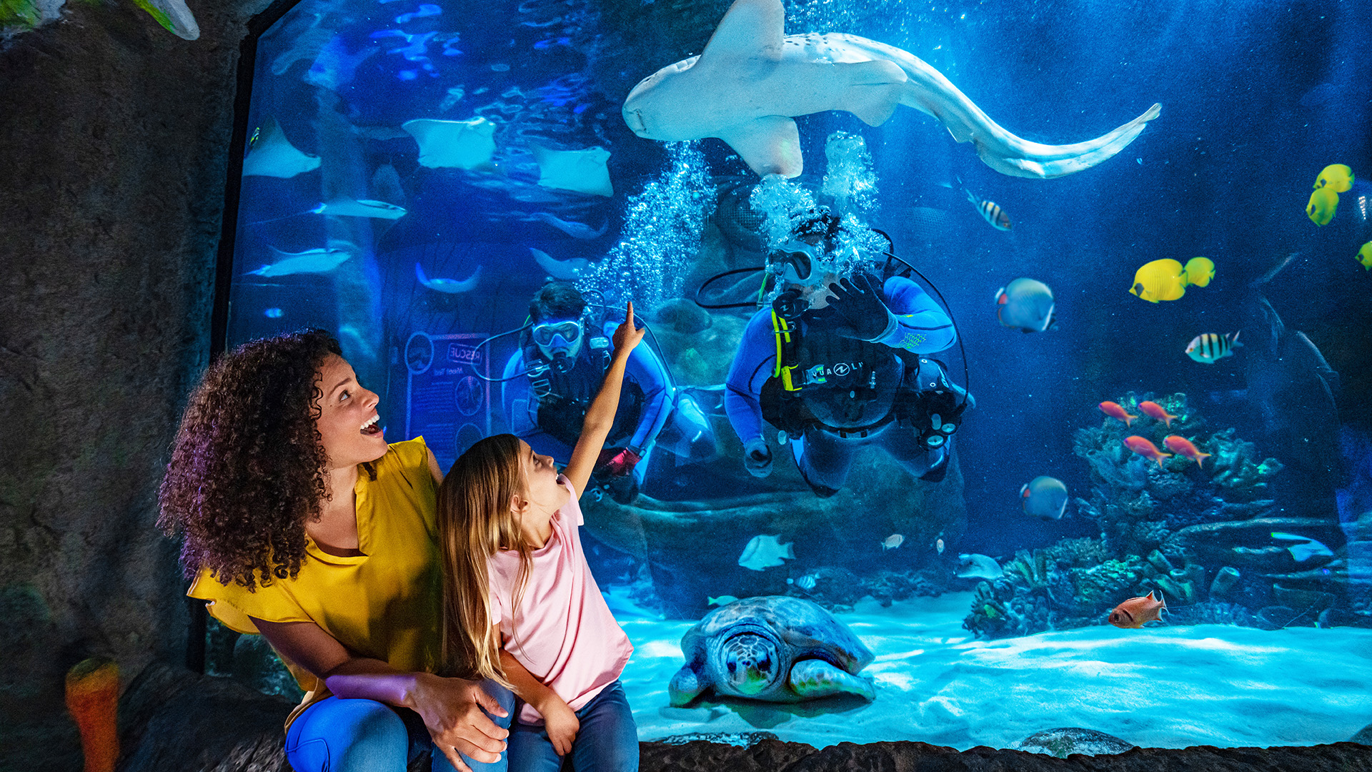 A woman sitting with a young girl in front an aquarium habitat. The young girl is pointing at a shark near 2 divers in the water