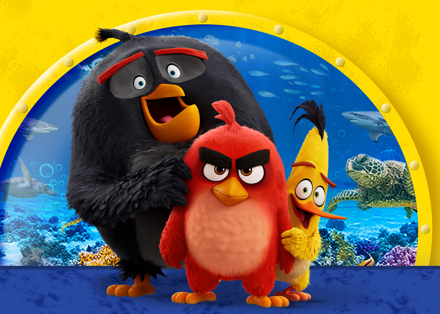 SEALIFE ANGRY BIRDS Event Page Additional Image 1400X1000px