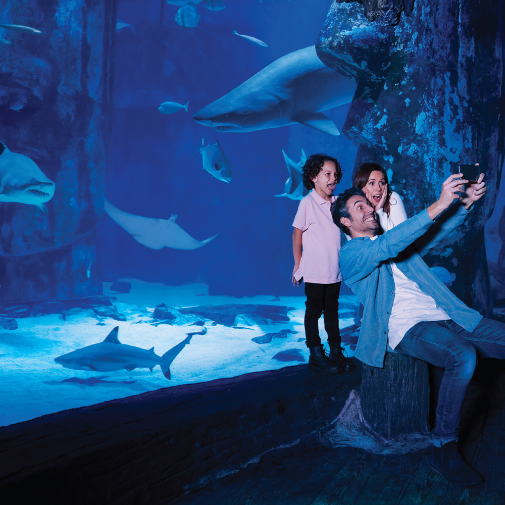 Family taking a selfie with excitement at SEA LIFE Aquarium, surrounded by marine life, including a large shark, stingray, and various fish swimming in a large, immersive tank environment with deep blue lighting.