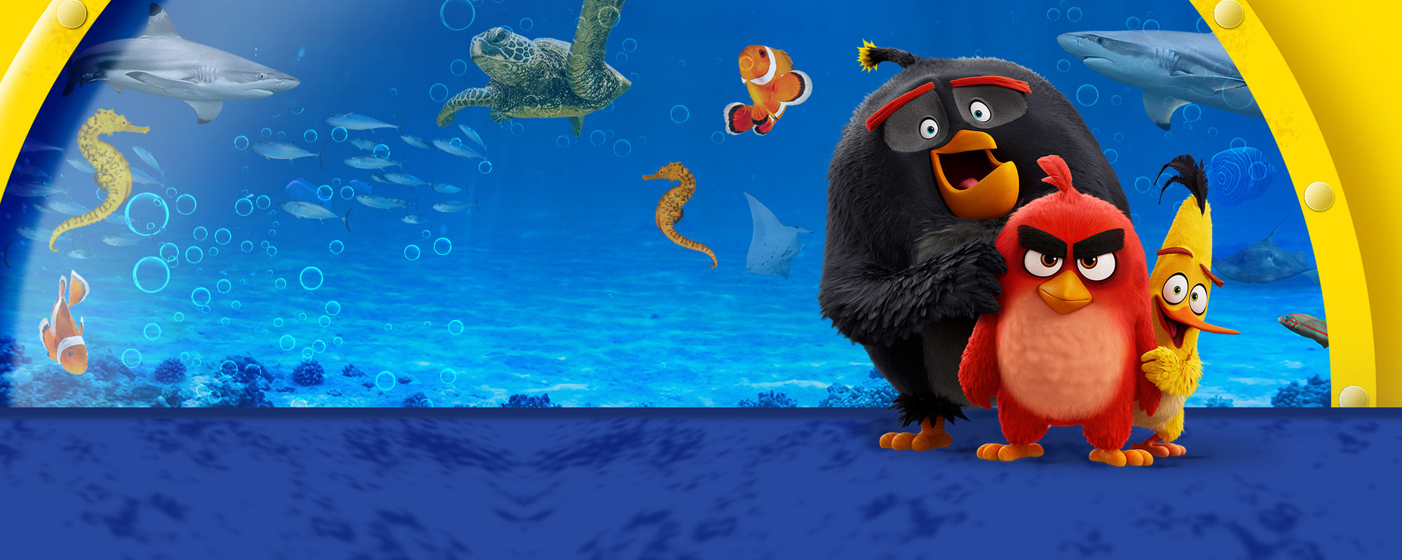 SEALIFE ANGRY BIRDS Homepage Header 2000X800px (1)