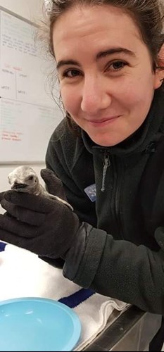 Amy with a penguin chick