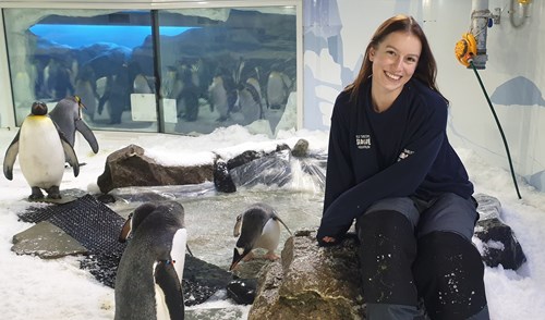 Kiara sitting with her penguin friends