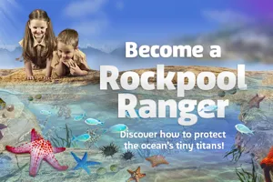 SL Rockpools Fatract 630X390px SLS