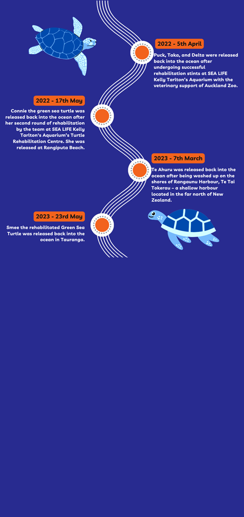 Turtle Release Timeline