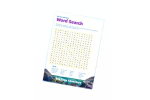 SCA Word Search