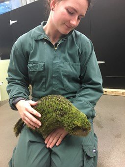 Kristen petting animal