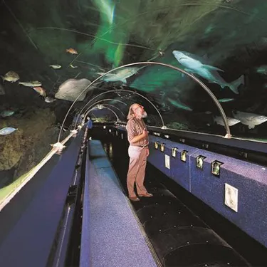 Kelly Tarlton the man