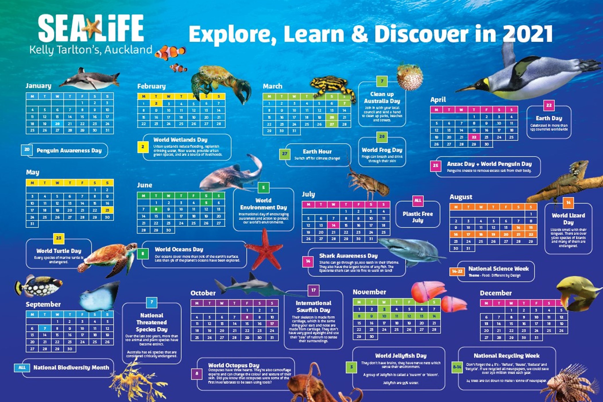 Educational Visits | SEA LIFE Kelly Tarlton's