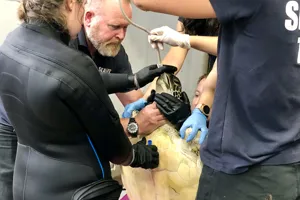 Connie Receiving Treatment Nov 2020 2