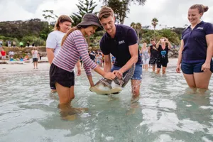 Turtle Release 2020 1400X960