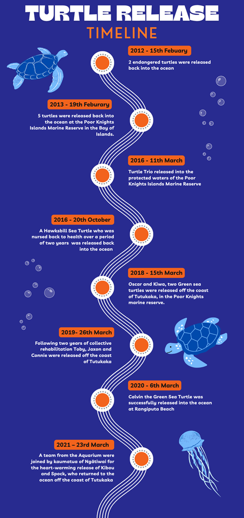 Turtle Release Timeline Part 1