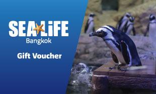 Gift Voucher