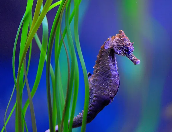 Shutterstock 1169604802