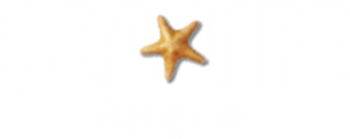 Sl Web Logo Bkk