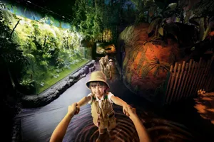 Rainforest3