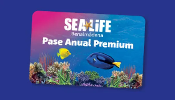 Accesso 310X187px Pase Anual Premium