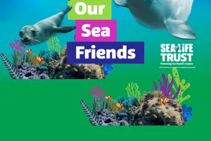 Home Page Header Mobile 1200X1500 (1)