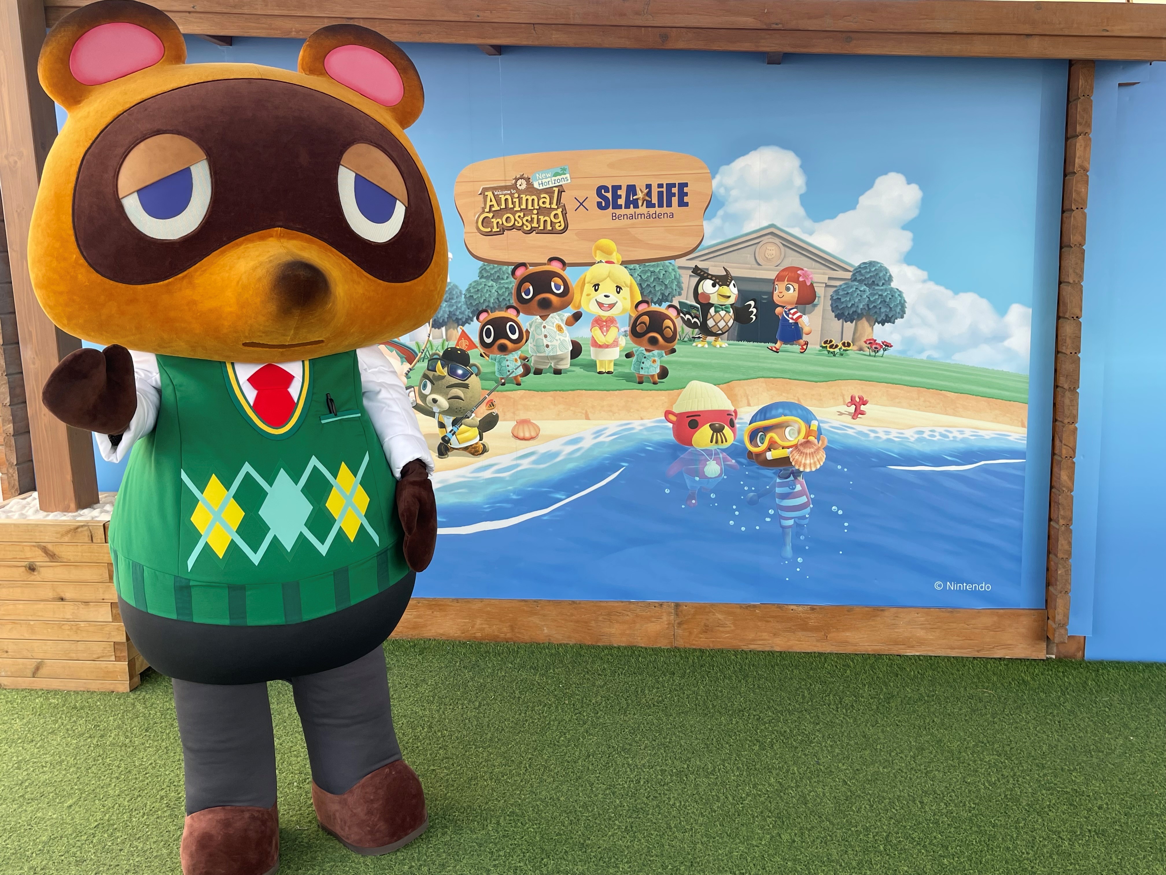 Tom Nook 3