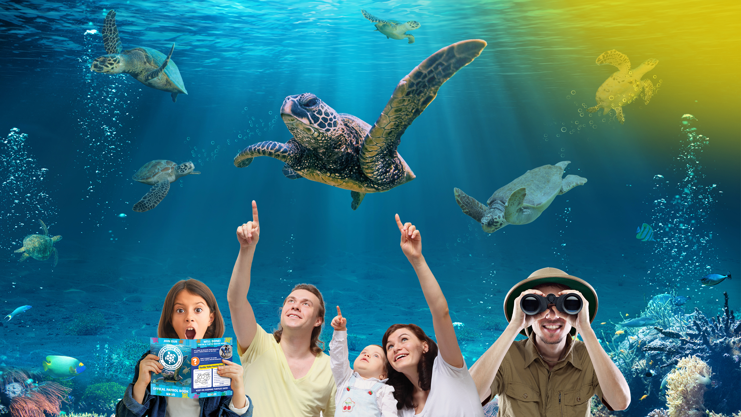 SEALIFE TURTLES DESKTOP HEADER 3000X1688