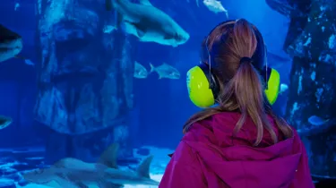 Girl wearing ear defenders looking into aquarium display
