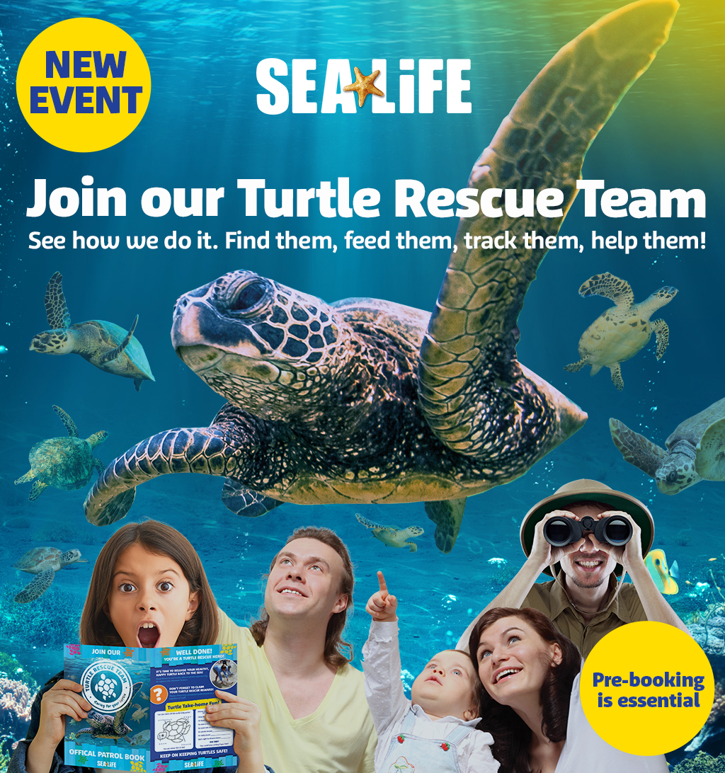 SEALIFE TURTLES SOCIAL BANNERS ARTWORK 1024X1092