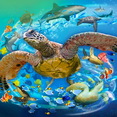 SEALIFE GREAT TURTLE ODYSSEY Digi Hdr Event Page Additional Image 1400X1000px