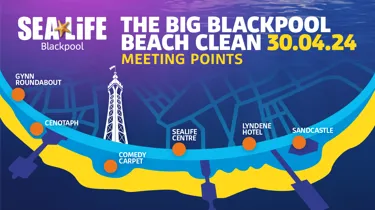 Beach Clean