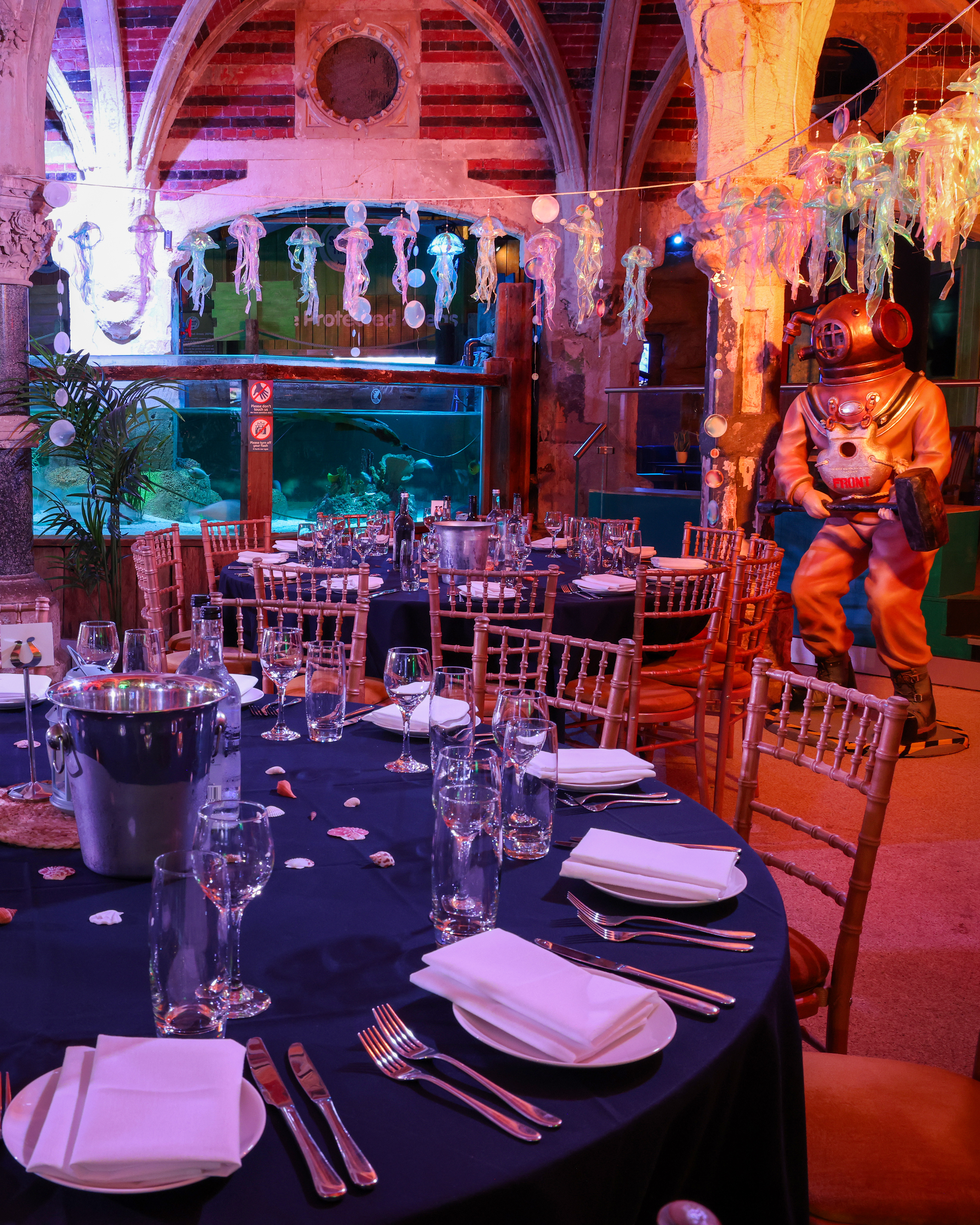 Sealifebrighton Merlinvenues Tomdingleyphoto 010