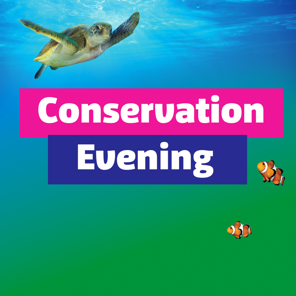 Conservation Evening World Oceans Week Square