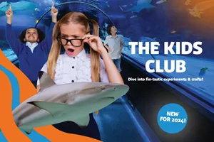 THE KIDS CLUB CMS