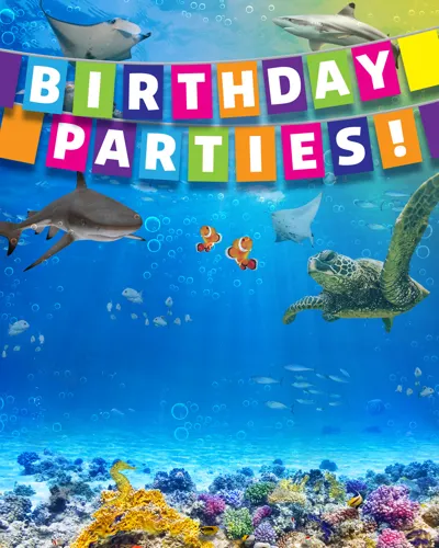 SEALIFE BIRTHDAYS Promo Event Page 1000X1000px