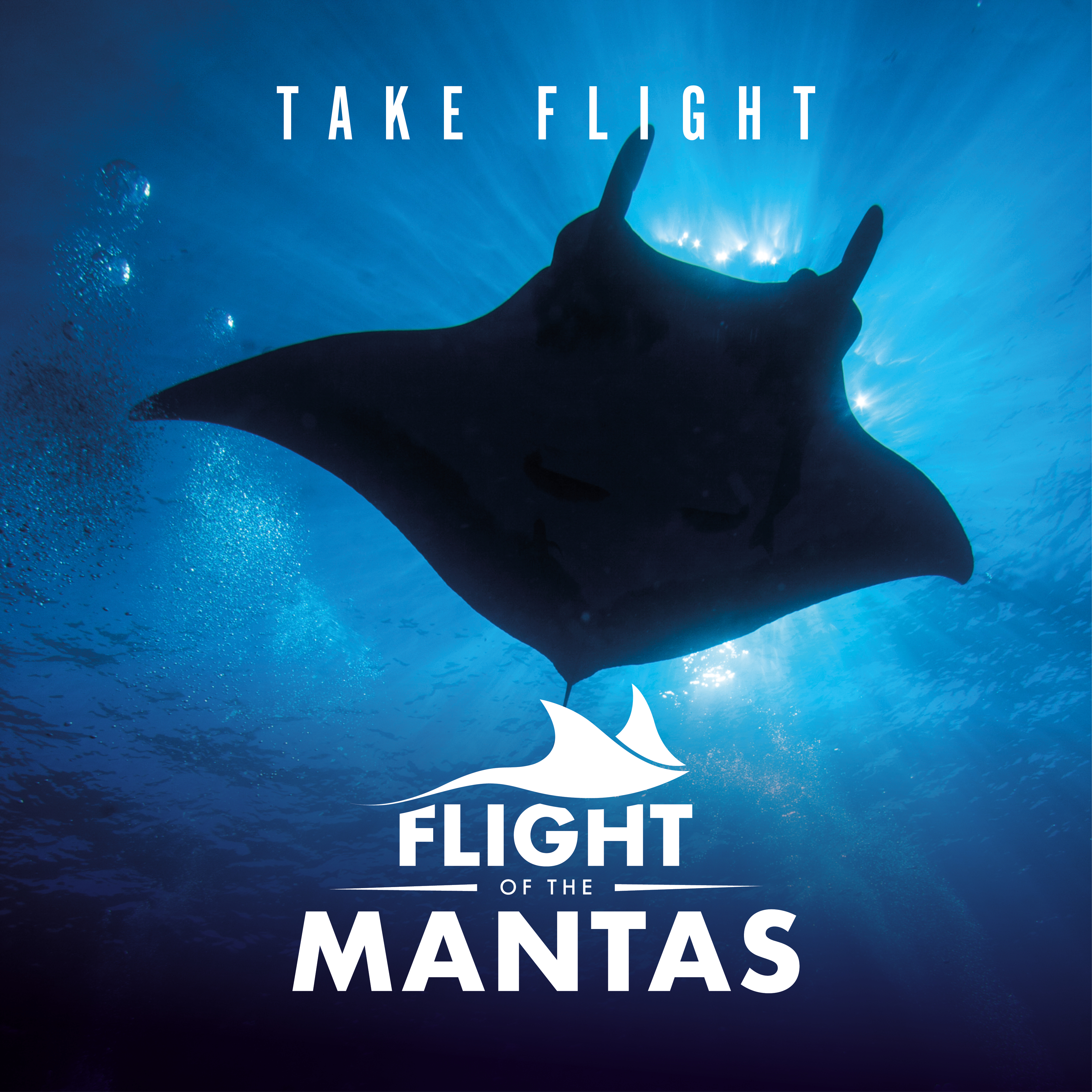 Immotion Mantas Socialgraphic