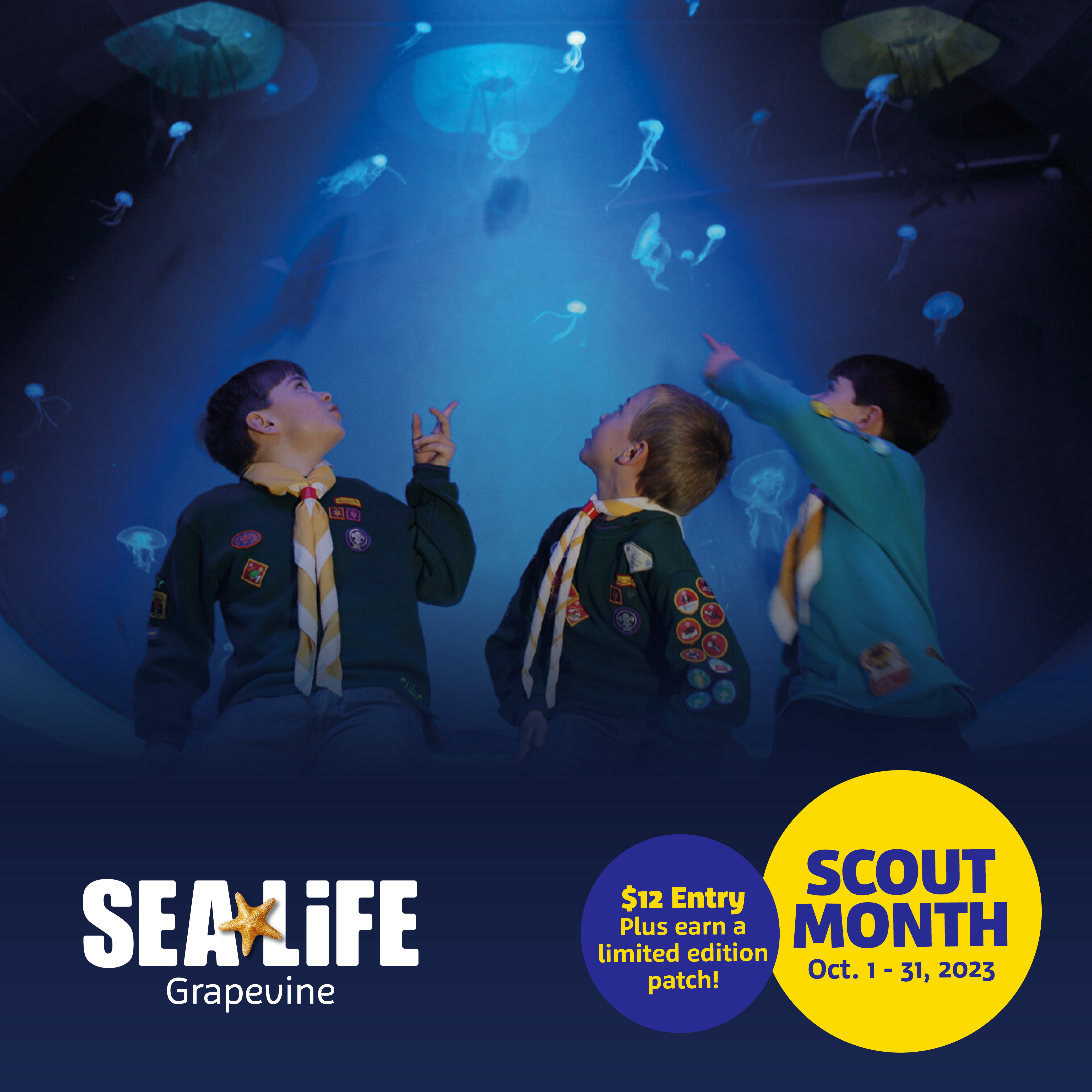 Events SEA LIFE Grapevine   2023 Sld Scoutmonth Sq 