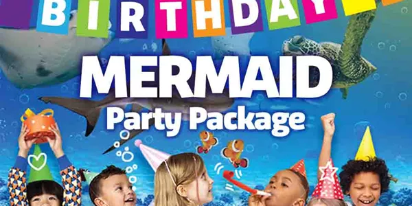 Mermaid Package Webtile Accesso 2024