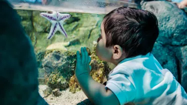 7905 Untitled 465 | SEA LIFE Aquarium