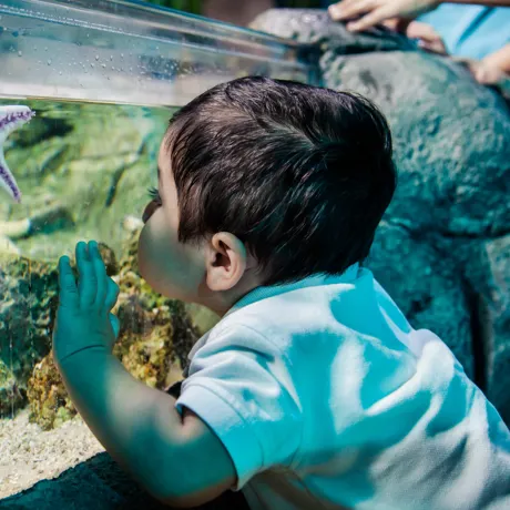 7905 Untitled 465 | SEA LIFE Aquarium