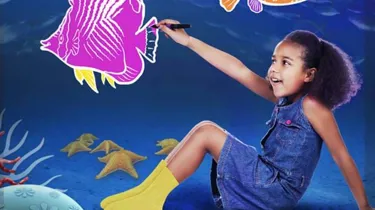 Doddle Reef | SEA LIFE Aquarium