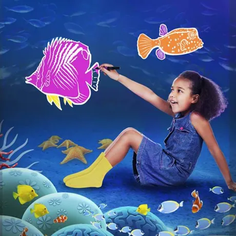 Doddle Reef | SEA LIFE Aquarium