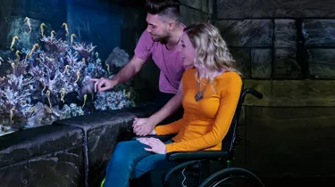 Handicap | SEA LIFE Aquarium