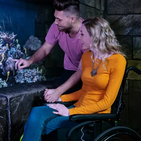 Handicap | SEA LIFE Aquarium