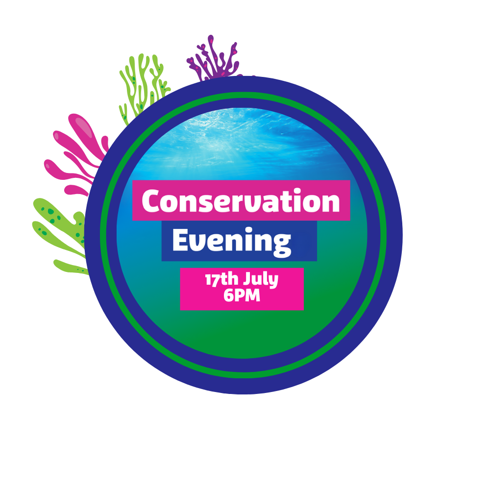 Conservation Evening World Oceans Week Square (3)